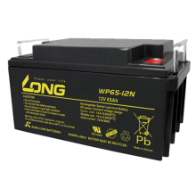 Ắc quy kín khí vrla agm Long 12v-65Ah, WP65-12N